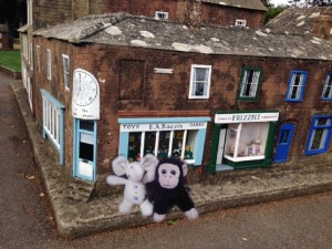 Monkey and new pupil Elephant at the Model Town.