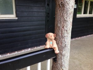 Hacker at the Pamphill cricket pavilion.